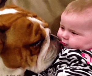 Baby GIF. Dansen Baby Gifs Avontuur tijd Fin Buff kindje 