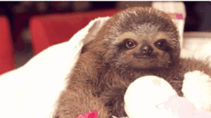 Baby GIF. Baby Engel Prinses Gifs Miss een Jia Gif: missen Ik bracht 80 jaar het verplaatsen 