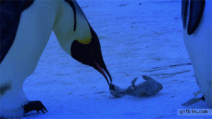 Baby GIF. Baby Gifs Parken en rec 