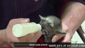 Baby GIF. Baby Gifs Aanbiddelijk Zwart en wit 