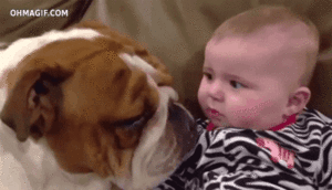 Baby GIF. Baby Gifs Nee Myname Junq Juni q 