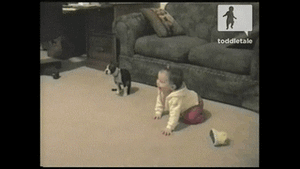 Baby GIF. Baby Gifs Gelukkige verjaardag Freecocaine Ava gardner 