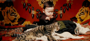 Baby GIF. Baby Kat Gifs 