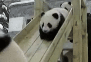 Baby GIF. Ijs Baby Sneeuw Gifs Kind Kleuter Schattige baby Grappige kinderen 