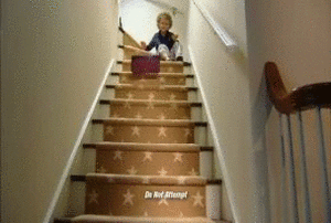 Baby GIF. Dieren Baby Gifs Fret 