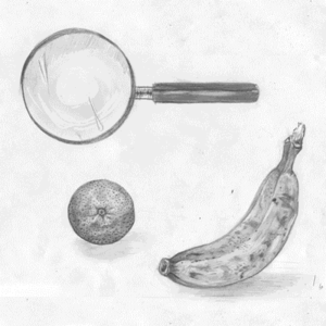 Banaan GIF. Eten en drinken Banaan Gifs Doen Animalsbeingjerks 