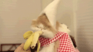 Banaan GIF. Eten en drinken Banaan Gifs 