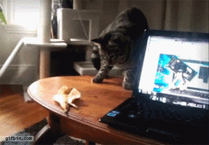 Banaan GIF. Eten en drinken Banaan Gifs 