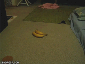 Banaan GIF. Eten en drinken Banaan Gifs 