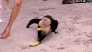 Banaan GIF. Eten en drinken Banaan Gifs Sungjae 