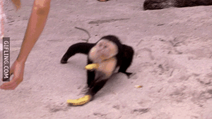 Banaan GIF. Eten en drinken Banaan Chocolade Gifs 