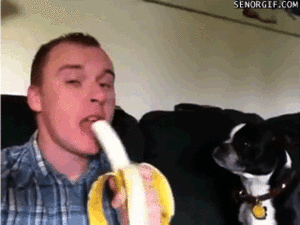 Banaan GIF. Eten en drinken Banaan Gifs Gemaakt Schaal Haters 