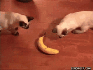 Banaan GIF. Eten en drinken Banaan Gifs 