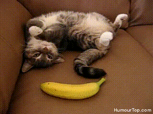Banaan GIF. Eten en drinken Banaan Gifs Baan 