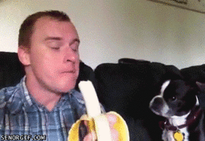 Banaan GIF. Eten en drinken Banaan Gifs 