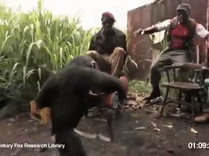 Banaan GIF. Eten en drinken Banaan Gifs Champ 