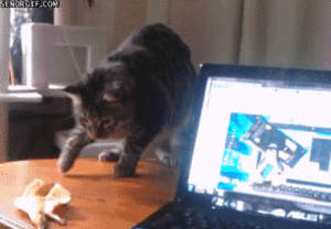 Banaan GIF. Eten en drinken Banaan Gifs 
