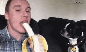 Banaan GIF. Eten en drinken Banaan Gifs Middag 