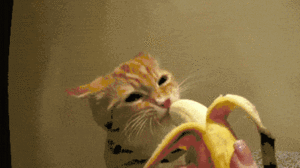 Banaan GIF. Eten en drinken Banaan Gifs Man 