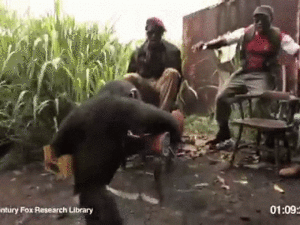 Banaan GIF. Eten en drinken Banaan Gifs Man 