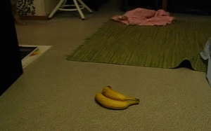 Banaan GIF. Eten en drinken Banaan Gifs Sungjae 