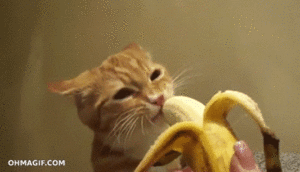 Banaan GIF. Eten en drinken Banaan Gifs 
