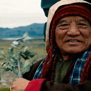 Ben Stiller GIF. Bioscoop Gifs Filmsterren Ben stiller 
