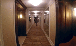 Beyoncé GIF. Artiesten Beyonce Gifs Tieten Diva 