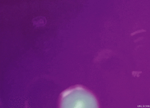 Beyoncé GIF. Muziek Artiesten Beyonce Gifs Visuele album Nieuw album 