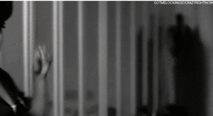 Beyoncé GIF. Artiesten Beyonce Gifs Bootylicious Oprah The oprah winfrey show 