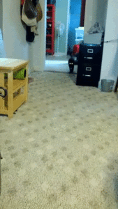 Beyoncé GIF. Artiesten Beyonce Gifs Vma 2014 