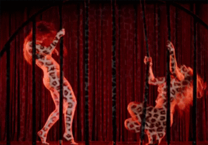 Beyoncé GIF. Muziek Artiesten Beyonce Sexy Gifs Zwart en wit 