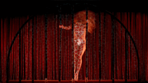 Beyoncé GIF. Artiesten Beyonce Gifs Hotdog 
