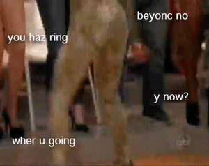 Beyoncé GIF. Artiesten Beyonce Gifs 