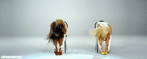 Beyoncé GIF. Artiesten Beyonce Gifs Schop 