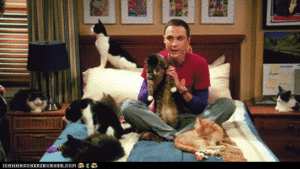 Big Bang Theory GIF. Films en series Hersenen Gifs Big bang theory Sheldon 
