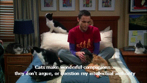 Big Bang Theory GIF. Films en series Gifs Big bang theory Sheldon cooper Amy farrah fowler Shamy 