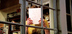 Big Bang Theory GIF. Films en series Kat Gifs Big bang theory Shelden cooper 
