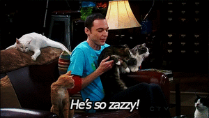 Big Bang Theory GIF. Films en series The big bang theory Gifs Big bang theory De oerknal Melissa rauch 
