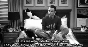 Big Bang Theory GIF. Films en series Kat Gifs Big bang theory Shelden cooper 