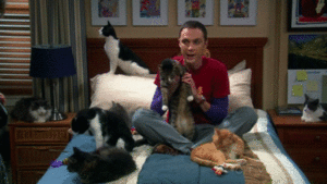 Big Bang Theory GIF. Films en series Gifs Big bang theory Geen 