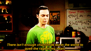 Big Bang Theory GIF. Grappig Schattig Films en series Tv Gifs Big bang theory Sheldon cooper 