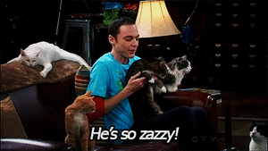 Big Bang Theory GIF. Films en series Gifs Big bang theory Gek Sheldon cooper Teven zijn gek 