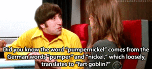 Big Bang Theory GIF. Films en series Gifs Big bang theory Paniekaanval 
