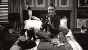 Big Bang Theory GIF. Films en series Kat Gifs Big bang theory Sheldon cooper Zazzy 