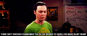 Big Bang Theory GIF. Films en series Gifs Big bang theory Sheldon Sheldon cooper Kamille thee 