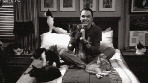 Big Bang Theory GIF. Nerds Films en series Tv Kat Gifs Big bang theory Gek 