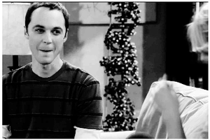 Big Bang Theory GIF. Films en series Gifs Big bang theory Toevallig Criminal minds Ruis in het midden van de nacht 