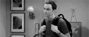 Big Bang Theory GIF. Films en series Gifs Big bang theory Reactie Geen Nee Sheldon cooper 