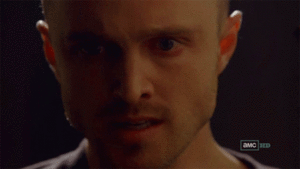 Breaking Bad GIF. Films en series Breaking bad Gifs Aaron paul Jesse pinkman Betsy brandt Hondsdolle hond 